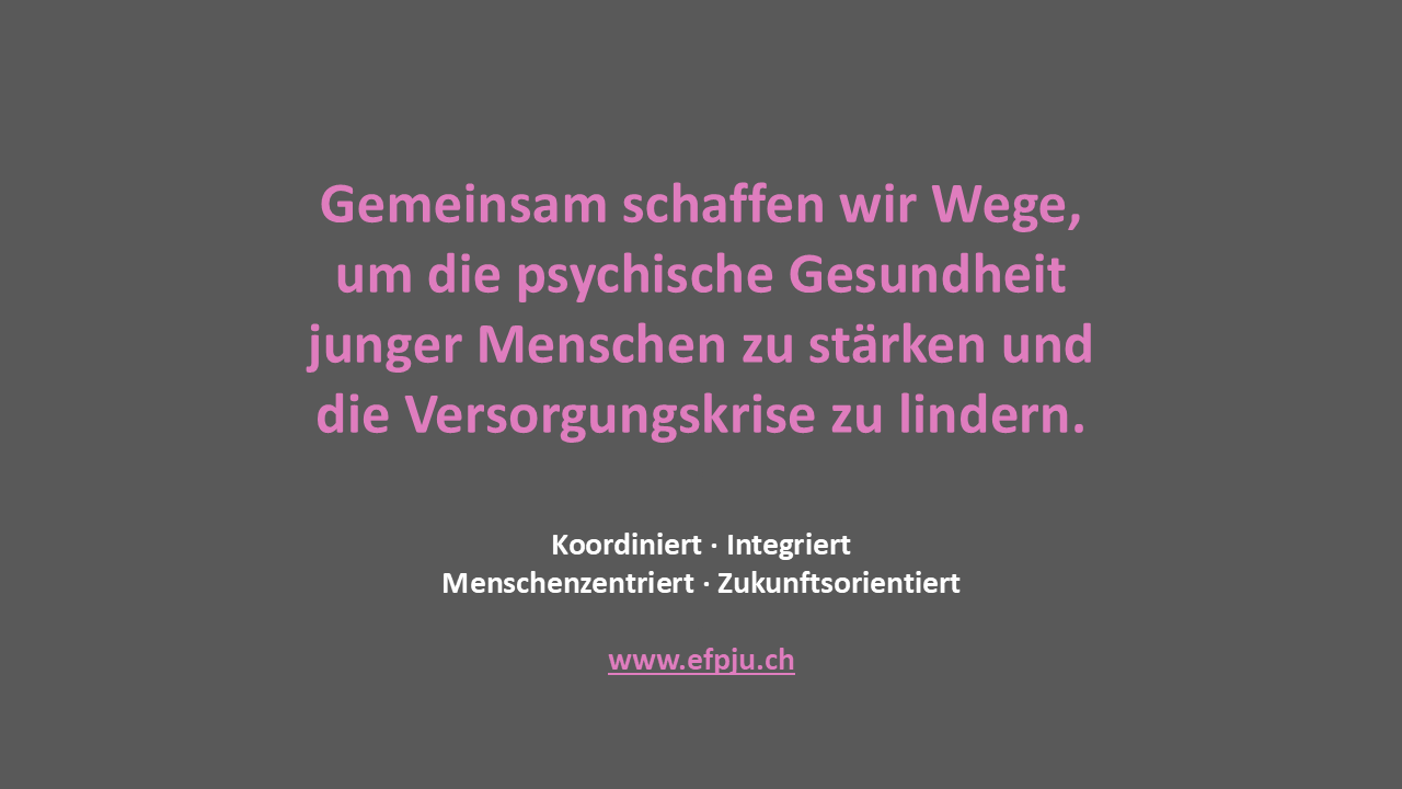 EFPJU Infografik Folie 1